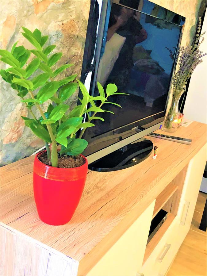 Apartments Village ロゾヴァック エクステリア 写真
